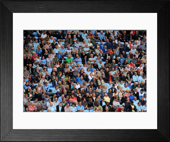 Framed Print : Passionate Coventry City Fans in Action: Npower Championship Match vs. Reading at Ricoh Arena (2011)