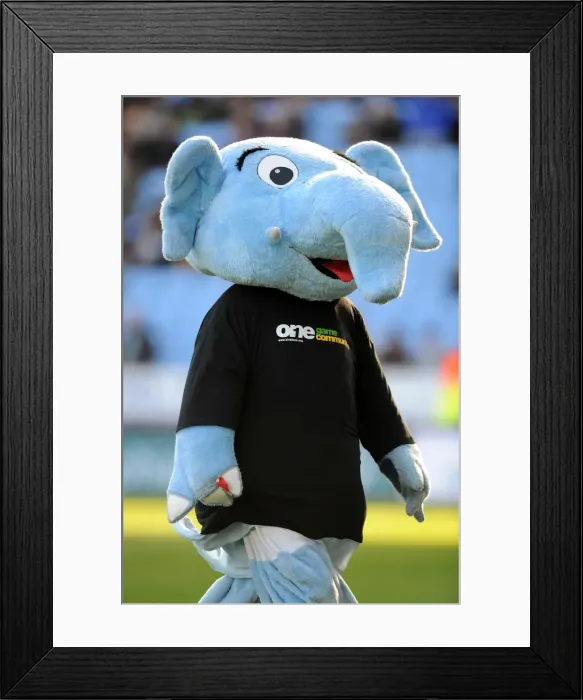 Framed Print : Coventry City vs Burnley: Sky Blue Sam at Ricoh Arena (Npower Football League Championship - 22-10-2011) Framed Print : Coventry City vs Burnley: Sky Blue Sam at Ricoh Arena (Npower Football League Championship - 22-10-2011)