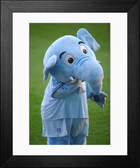Framed Print : Npower Championship Showdown: Coventry City vs Hull City at Ricoh Arena (December 10, 2011)
