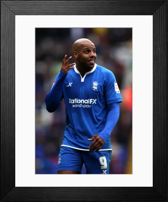 Framed Print : Marlon King Scores the Game-Winning Goal Against Birmingham City in the Npower Championship (09-04-2012) Framed Print : Marlon King Scores the Game-Winning Goal Against Birmingham City in the Npower Championship (09-04-2012)