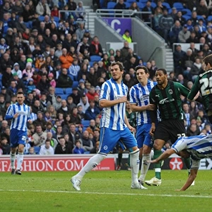 npower Football League Championship Collection: 26-11-2011 v Brighton and Hove Albion, AMEX Stadium