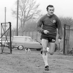 Noel Cantwell Sprints Ahead: Coventry City Manager's Intense Training Session with Surprising Canine Spectator (Former Managers) Noel Cantwell Sprints Ahead: Coventry City Manager's Intense Training Session with Surprising Canine Spectator (Former Managers)