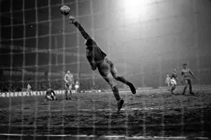 Trending: FA Cup - 4th Round, Second Reply - Coventry City v Portsmouth - White Hart Lane