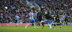 Images Dated 2011 November: Gary Gardner Scores First Goal for Coventry City Against Brighton and Hove Albion