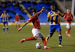 Season 2015-16 Prints: Ruben Lameiras: Coventry City Star in Sky Bet League One Clash vs Shrewsbury Town